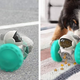 Pet Toy Treat Feeder Robot | $17 | Amazon